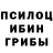 Псилоцибиновые грибы MAGIC MUSHROOMS LeendeR Channel
