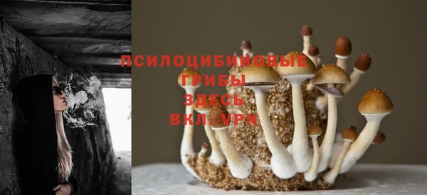 мескалин Алексеевка