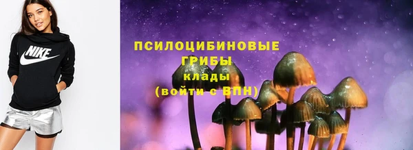 сатива Алзамай