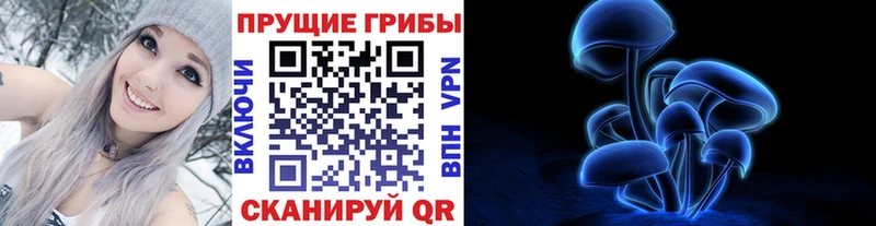 Псилоцибиновые грибы мицелий  Лосино-Петровский 